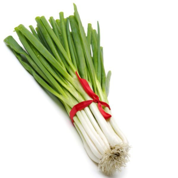 بصل اخضر (ربطة)